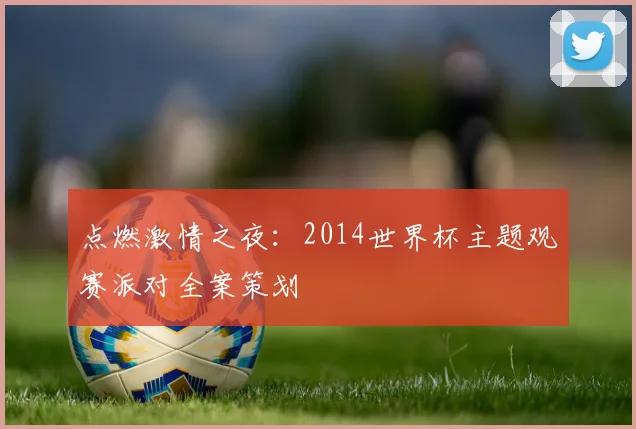 点燃激情之夜：2014世界杯主题观赛派对全案策划