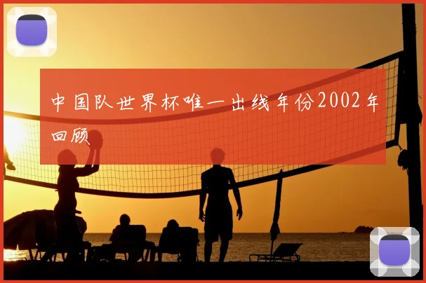 中国队世界杯唯一出线年份2002年回顾