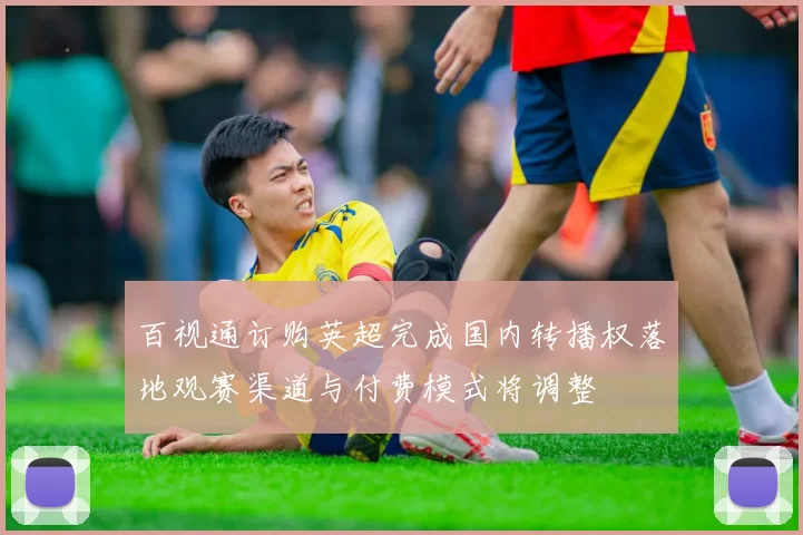 百视通订购英超完成国内转播权落地观赛渠道与付费模式将调整