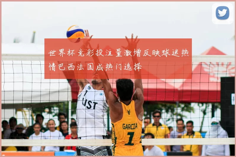 世界杯竞彩投注量激增反映球迷热情巴西法国成热门选择