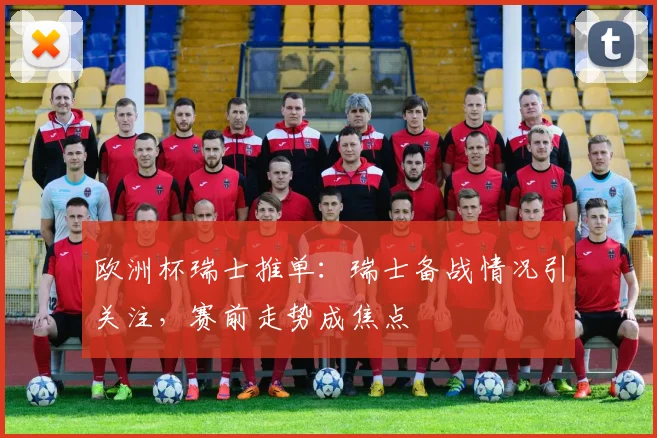 欧洲杯瑞士推单：瑞士备战情况引关注，赛前走势成焦点