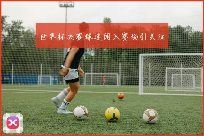 世界杯决赛球迷闯入赛场引关注