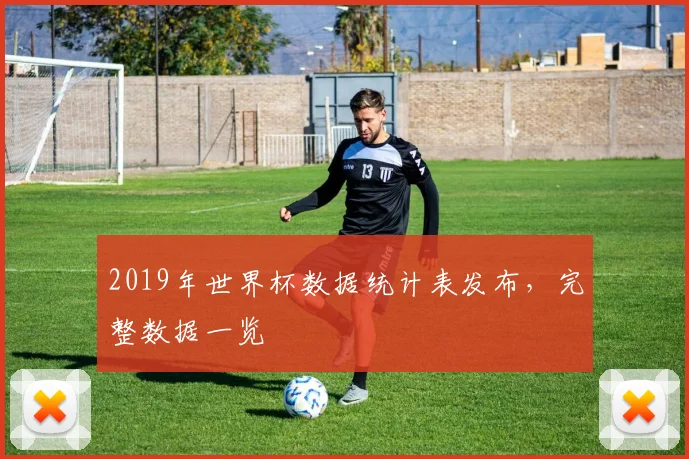 2019年世界杯数据统计表发布，完整数据一览