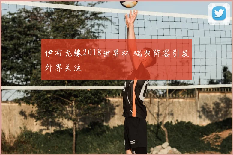 伊布无缘2018世界杯 瑞典阵容引发外界关注
