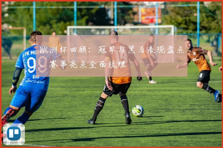 欧洲杯回顾：冠军与黑马表现盘点，赛事亮点全面梳理